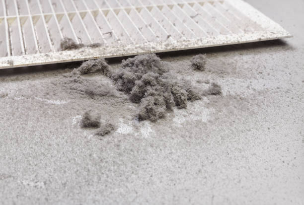 Best Affordable HVAC Duct Cleaning  in Dewitt, AR